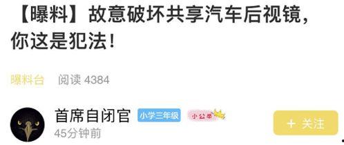 小心爆料视频在线观看免费,免费在线观看独家视频内容