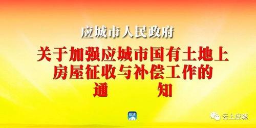 应城新闻爆料,最新爆料揭示惊人事件！